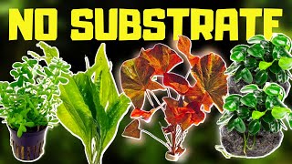 TOP 10 NO SUBSTRATE BEGINNER AQUARIUM PLANTS [upl. by Ringler]