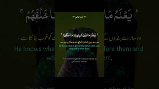 ayatulkursitalawat تلاوةجميلة explore alquran nature cute soothingquran quran surah [upl. by Eerej]