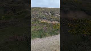 View at Wheal Charlotte near Porthtowan Cornwall [upl. by Reivad602]