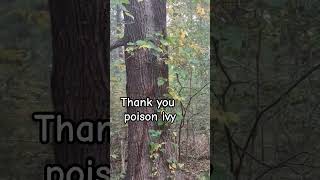 Thank you poison ivy [upl. by Shute288]