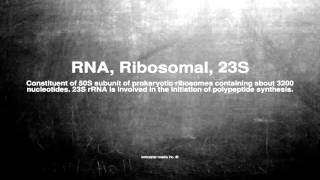 Medical vocabulary What does RNA Ribosomal 23S mean [upl. by Arrik]