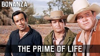 Bonanza  The Prime of Life  Episode 147  WILD WEST  Best Western Series  Full Length [upl. by Berman]