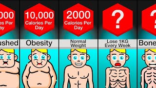 Comparison Your Body At  Calories Per Day [upl. by Perle]