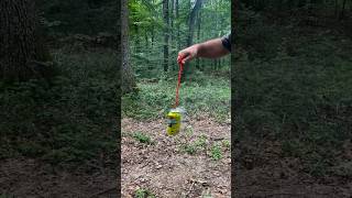 Survival Skills Mosquito and Midge Repellent survival outdoors bushcraft camping [upl. by Juliane306]