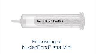 Processing of NucleoBond Xtra Midi [upl. by Naihs12]