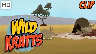 Wild Kratts  Aardvarks Great Escape [upl. by Udall]