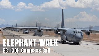 EC130H Compass Call Elephant Walk [upl. by Wakeen980]