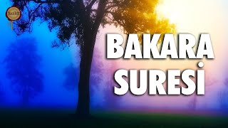 Bakara Suresi  Evdeki Geçimsizliğe Huzursuzluğa Sıkıntılarınıza Şifa  Eyad Mohra [upl. by Dur]