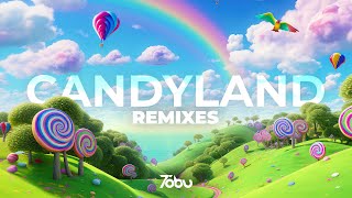 Tobu  Candyland Remixes Full Album [upl. by Lianna]