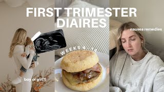 FIRST TRIMESTER VLOG  early pregnancy symptoms gender reveal and nausea remedies 4  14 weeks [upl. by Wilma]