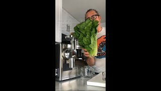 Simple Green Juice Recipe  Mood Of Sunshine [upl. by Riesman]