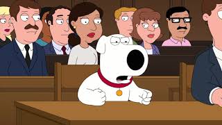 Family Guy  The dog is an idiot the baby wins [upl. by Clovis]