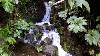 1 El Nacimiento del Rio Atrato en El Carmen de Atrato Chocó Colombia [upl. by Akirat477]