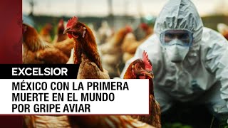 ¿México debe estar preocupado por la gripe aviar [upl. by Wil]