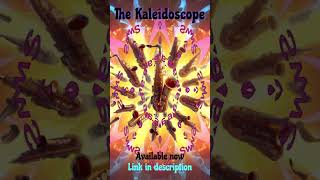 Debut Release The Kaleidoscope by Groove Skool Swagger jazzfusionmusic fusiongrooves [upl. by Reid]