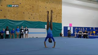 Wayzata vs Hopkins High School Gymnastics [upl. by Luy]