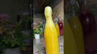 MAKING MY OWN PRO BIOTIC SODA AT HOME [upl. by Grew]