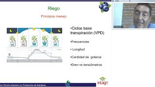 Riego para el cultivo de Arándano en Sustrato [upl. by Roose]