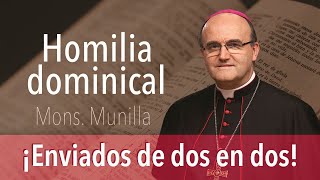 ¡Enviados de dos en dos Homilía 140724  Domingo 15º Tiempo Ordinario [upl. by Nellir]