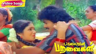 Palaivana Paravaigal Movie Songs  Sarathkumar  Anandaraj  Ilayagangai  Tamil Super Hit Songs [upl. by Yeruoc714]