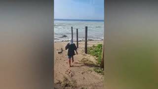 First waves hit Haatafu beach Tongatapu January 15 2022 [upl. by Sirapal]