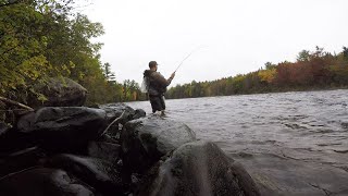 Fly Fishing Fall Brook Trout  East Outlet Maine [upl. by Agata]