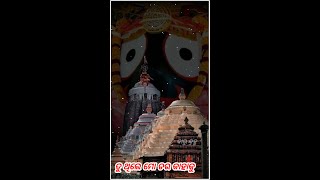 Pakhi Sina Udi Jaye । Tu Thile Mo Dara Kahaku । Odia Jagannath Status [upl. by Etteniotna427]