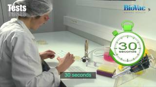 How to serotype bacteria by Rapid Plate Agglutination Test [upl. by Nevag571]