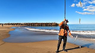 METIMOS EL CARDUMEN EN LA BAHÍA Y LA PESCA FUE UNA FIESTA [upl. by Ynttirb411]