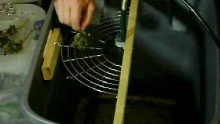 Homemade Bud Trimmer  14 rotary tool plus household objects [upl. by Edobalo503]