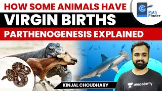 How some animals have ‘Virgin Births’ Parthenogenesis explained  UPSC CSE  Kinjal Choudhary [upl. by Odine]