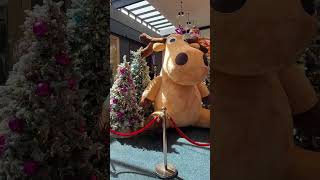 Giant Rein Deer 🦌 shorts short christmas reindeer trending viralvideo enjoy life love fun [upl. by Renny39]