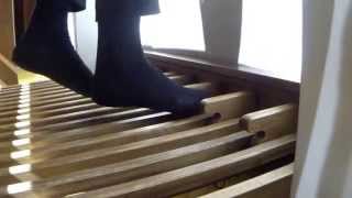 JS Bach  Passacaglia and Fugue in C minor BWV 582  Irene De Ruvo organ [upl. by Doraj]