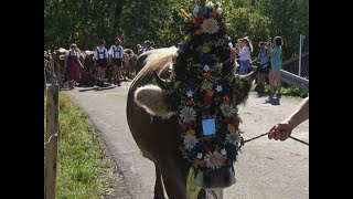 Viehscheid Oberstdorf Schöllang 2018 [upl. by Jarin]