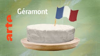 le Géramont un fromage français pour papilles allemandes  Karambolage  ARTE [upl. by Hopfinger]