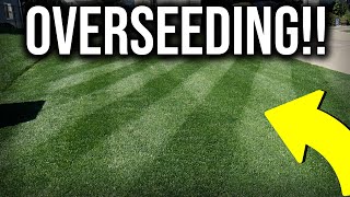 Spring Overseeding Steps in 1 MINUTE [upl. by Ley]