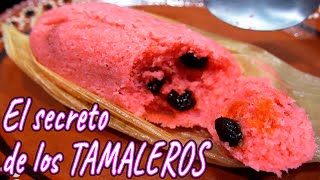 Como hacer TAMALES de DULCE EL SECRETO DE LOS TAMALEROSHow to make TAMALES  El Mister Cocina [upl. by Wilt87]