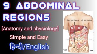 HUMAN BODY REGIONS  9 ABDOMINAL REGIONS  ABDOMINOPELVIC REGIONS  BY NAMAN MISHRA [upl. by Ynaffat]