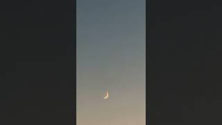 Waxing Crescent Moon or Waning Crescent Mooning [upl. by Enytsuj782]