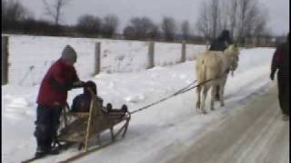 ânes du Québec le traînâne [upl. by Cirdor]