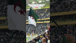 Le stade de Tizi Ouzou habillé aux couleurs nationales algerie الجزائر [upl. by Critchfield]