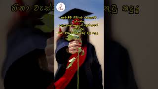 උපාධිය 👨🏼‍🎓👨🏼‍🎓👨🏼‍🎓  Degree Sinhala Wadan Sinhala Nisadas Adara Wadan  Hithata Wadina Wadan [upl. by Ingaborg]