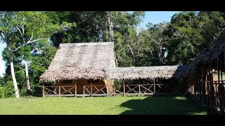 Música Selvática quotChuccha Tipinaquot Los Solteritos Changanacuy [upl. by Bandeen]