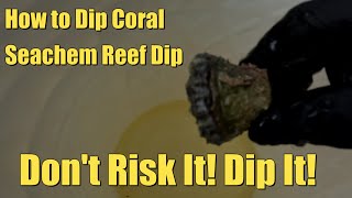 How to Dip Coral  Dont Risk It Dip It  Safeguard Your Corals [upl. by Neirrad]