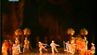 La Bayadere Fragmentos Yulia Mahalina Elina Palshina Teatro Colon 1997 [upl. by Arreis]