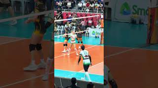 DLSU Lady Spikers FreeSpiking for SSL Semifinals vs UST AnimoLasalle [upl. by Bethany247]