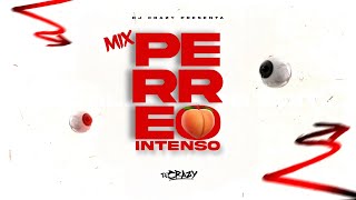 MIX PERREO INTENSO 2025🍑🔥Perreo de antes Old School Perreo TikTok DJ Crazy [upl. by Wilinski]