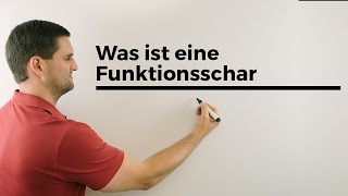 Was ist eine Funktionsschar Teil 2 Parameterfunktion Kurvenschar  Mathe by Daniel Jung [upl. by Akim58]