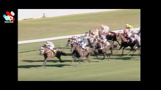 1987 SYDNEY CUP MAJOR DRIVE [upl. by Bernardina]