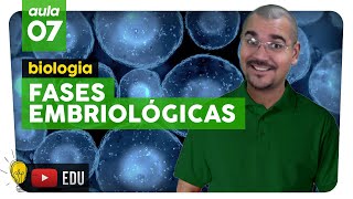 EMBRIOLOGIA Mórula Blástula Gástrula e Nêurula  Biologia  aula 7  Extensivo Enem 2019 [upl. by Atteinotna]